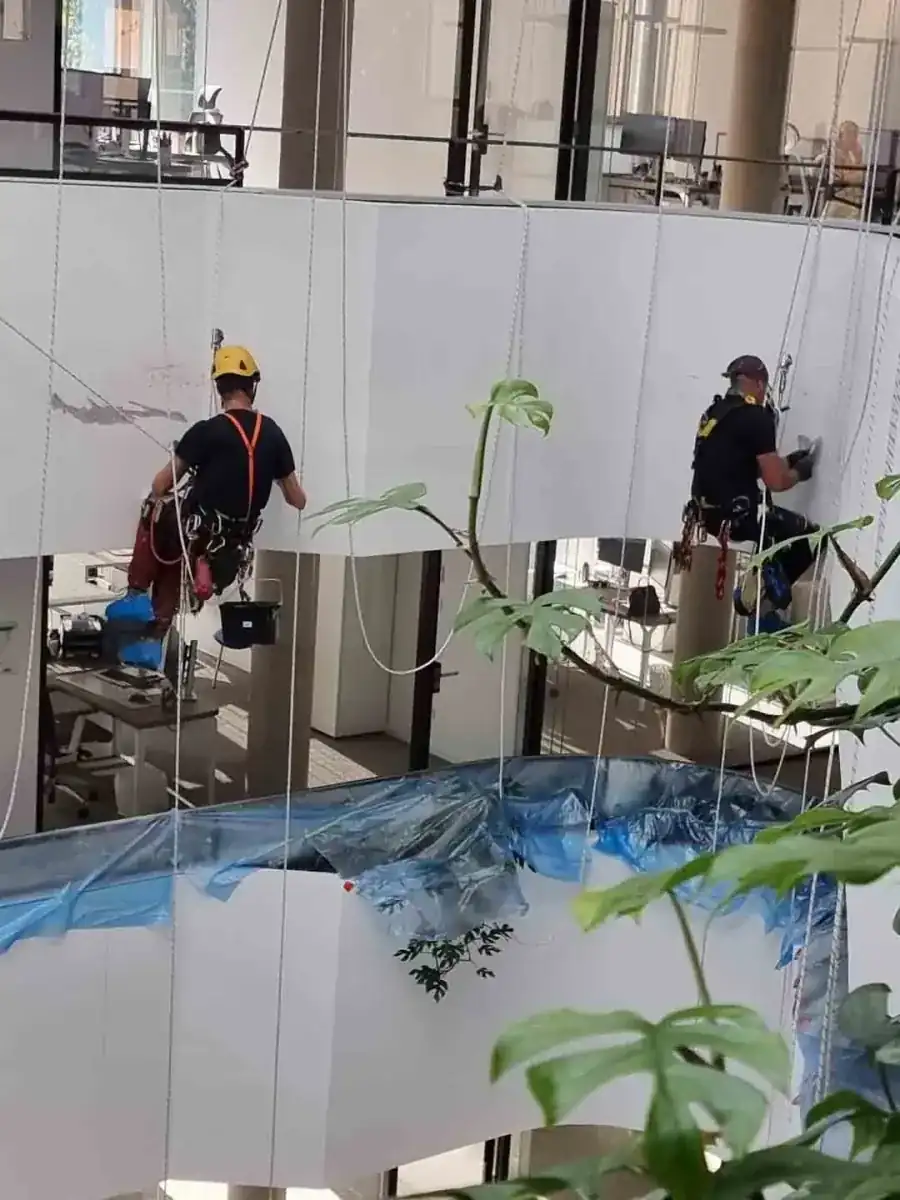 Cordiste peintre professionnel